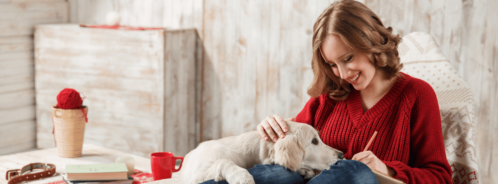 Dog Insurance