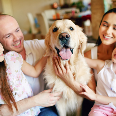 Pet Insurance
