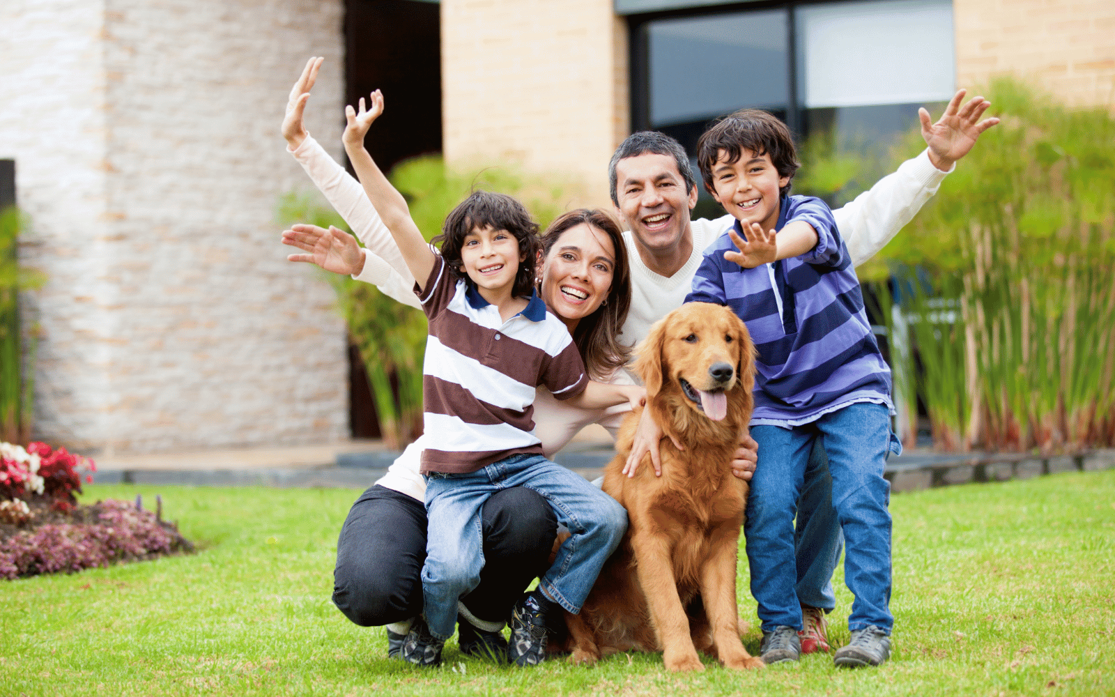 Pet insurance protection