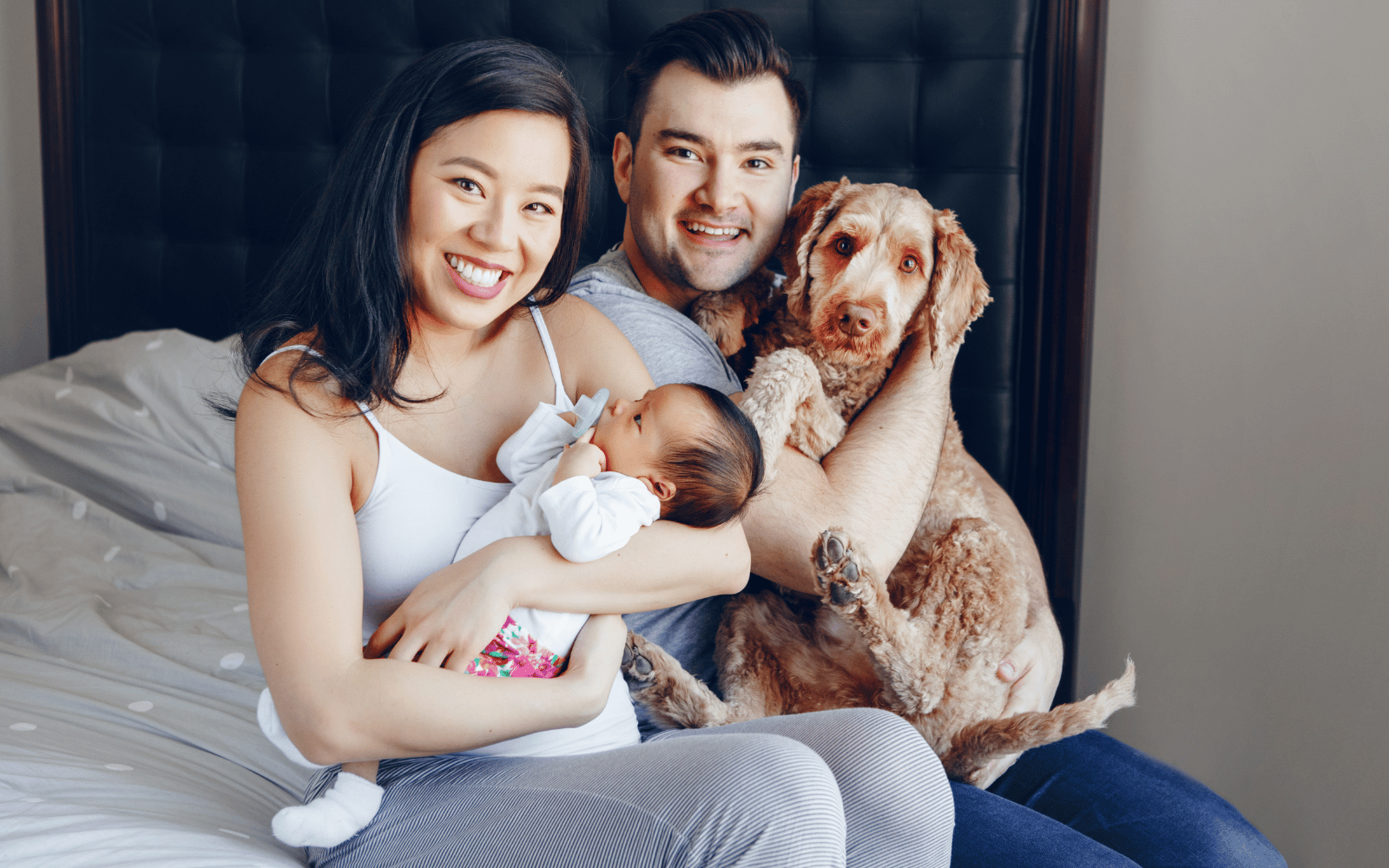 Pet health insurance